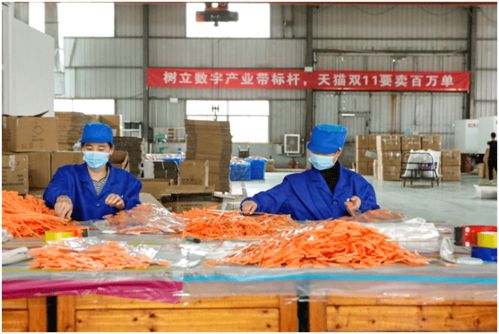 從“網紅”到“長紅” 義烏小商品與國民美食共繪中國消費新圖景