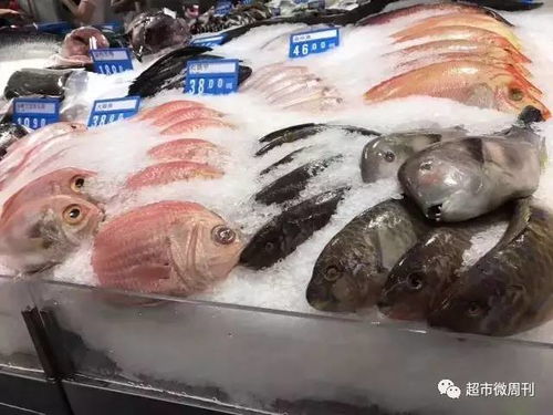 超贊實用！打造吸睛又保鮮的海鮮水產品陳列全攻略